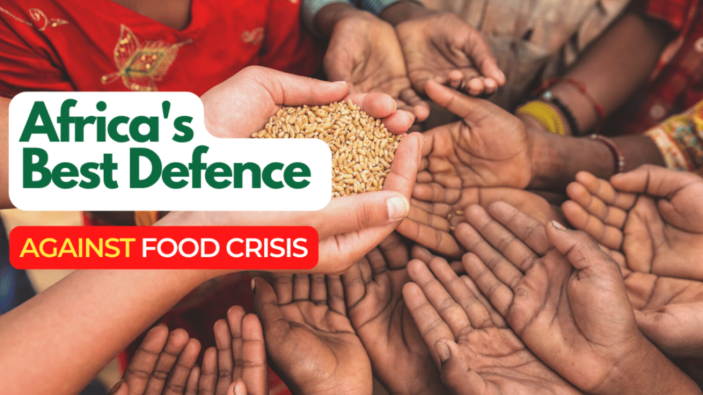 Why APEX-10 is Ghana and Africa’s Best Defence Against A Possible Food Crisis